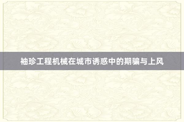 袖珍工程机械在城市诱惑中的期骗与上风